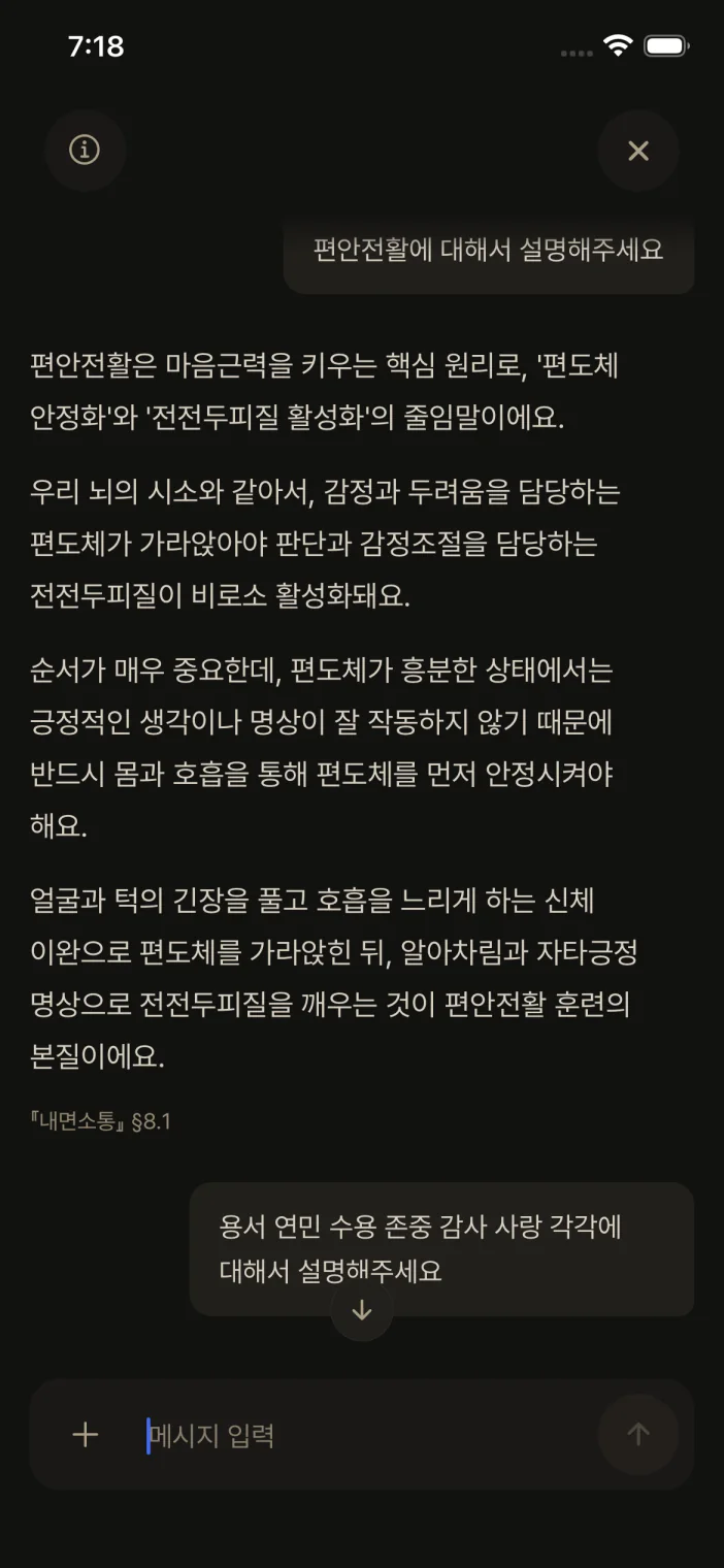 인지엄 앱 내면AI 화면 — 편안전환에 관한 대화